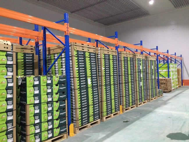 桃、李、杏水果儲存保鮮冷庫建造及造價